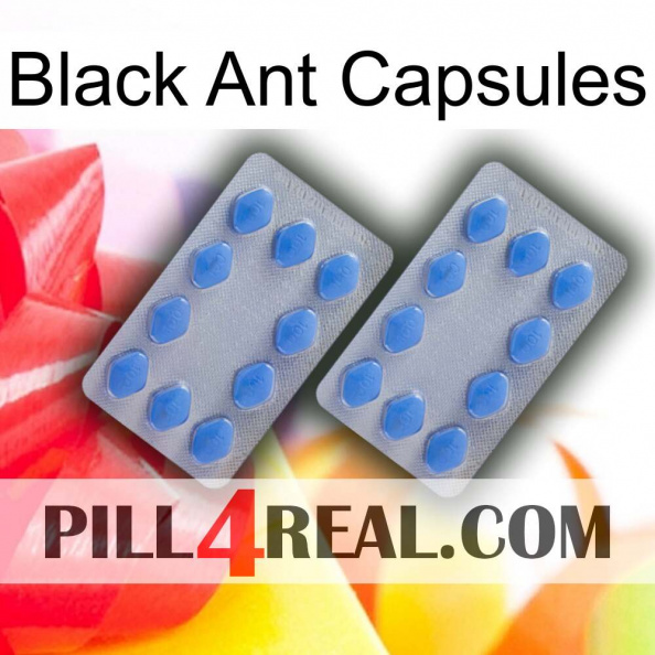 Black Ant Capsules 20.jpg